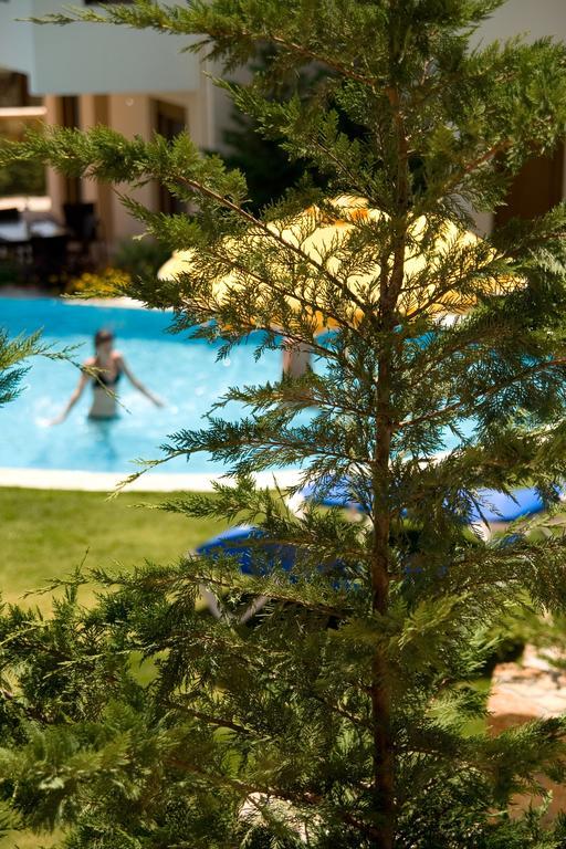 Blue Dream Luxury Villas Pefki Eksteriør billede